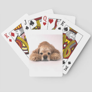 Baraja De Cartas Cute Cocker Spaniel
