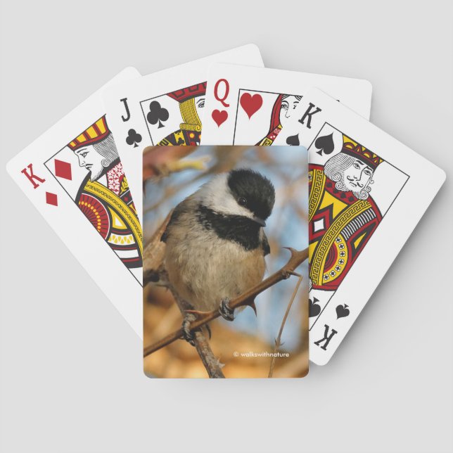 Baraja De Cartas Cute esperanzador Songbird de pollo con gorro negr (Reverso)