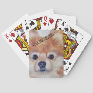BARAJA DE CARTAS CUTE GOLDEN POMERANIAN