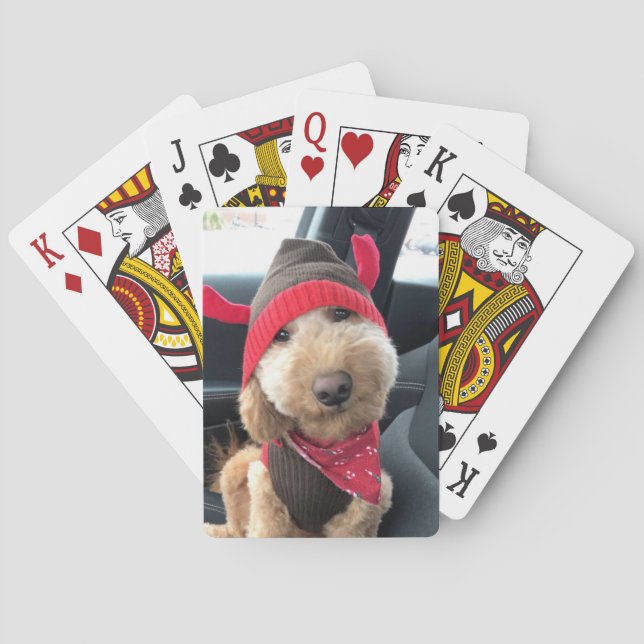 Baraja De Cartas Cute Goldendoodle en el traje de sus Navidades (Reverso)