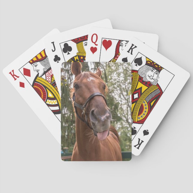 Baraja De Cartas Cute Graciosa Fotografía de Caballo (Reverso)