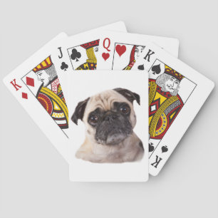 Baraja De Cartas cute little pug dog