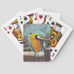 BARAJA DE CARTAS CUTE MACAW
