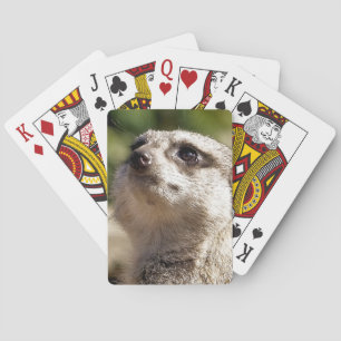 BARAJA DE CARTAS CUTE MEERKAT