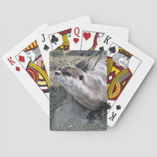 BARAJA DE CARTAS CUTE OTTER