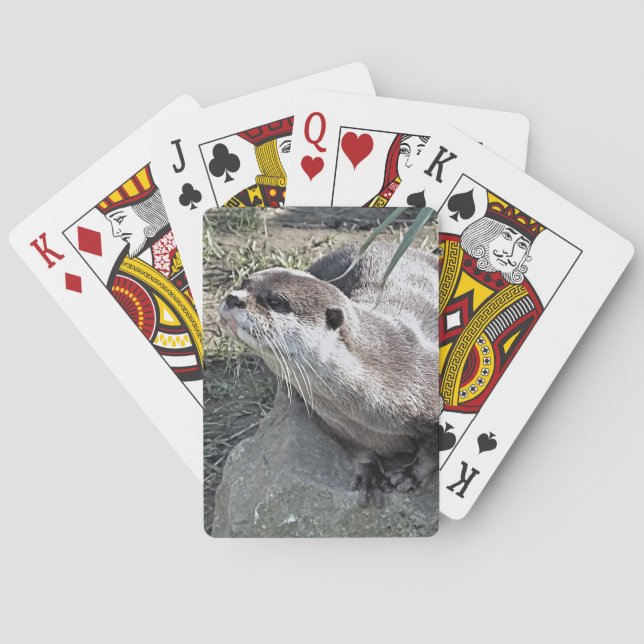 BARAJA DE CARTAS CUTE OTTER (Reverso)