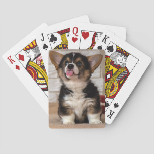 Baraja De Cartas Cute Pembroke Welsh Corgi Perro Cachorro