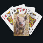 Baraja De Cartas Cute Pic of a baby Pig<br><div class="desc">Popular pink piggy image staright from the farm on Holiday gifts. Affordable gifts for Valentine's Day,  St.Patrick's Day, Easter,  Birthday gifts and more. Best selling trendy zazzle easy to use qpc templates. Add a name or a quote to personalize.Custom gifts are always appreciated.</div>