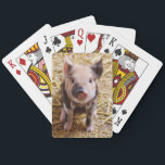 Baraja De Cartas Cute Pic of a baby Pig<br><div class="desc">Popular pink piggy image staright from the farm on Holiday gifts. Affordable gifts for Valentine's Day,  St.Patrick's Day, Easter,  Birthday gifts and more. Best selling trendy zazzle easy to use qpc templates. Add a name or a quote to personalize.Custom gifts are always appreciated.</div>