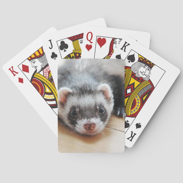 Baraja De Cartas Cute Sable Ferret (Reverso)