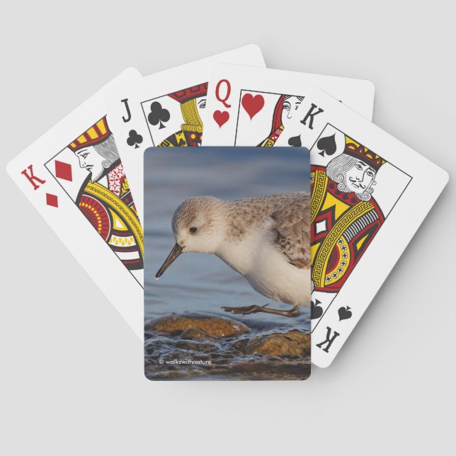 Baraja De Cartas Cute Sanderling Sandpiper Walk Winter Beach (Reverso)