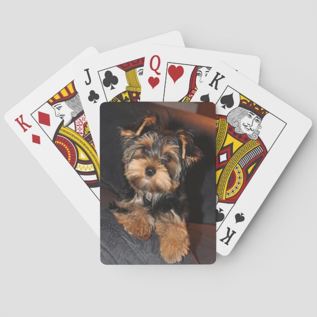 Baraja De Cartas Cute Yorkshire Terrier Yorkie Perro Cuppy   (Reverso)