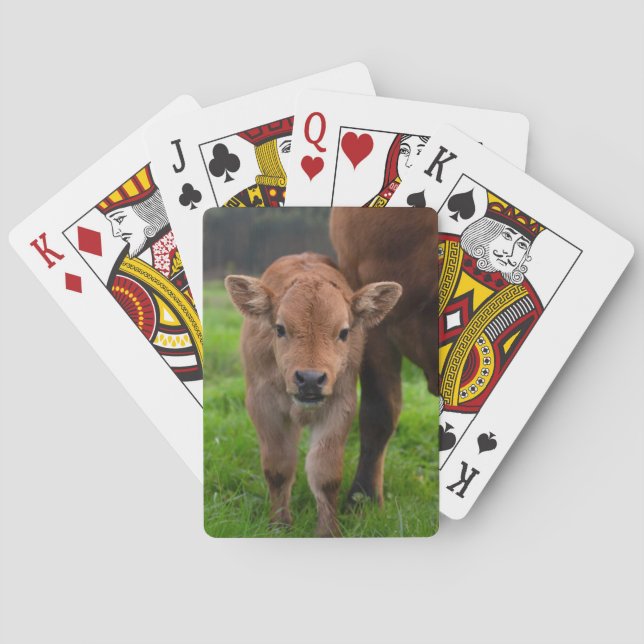 Baraja De Cartas Cutest Baby Animals | Cow & Calf (Reverso)
