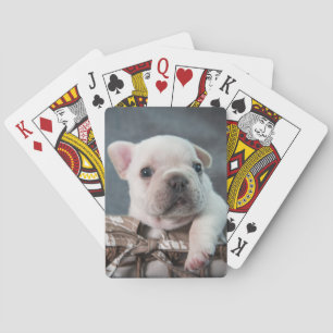 Baraja De Cartas Cutest Baby Animals   French Bulldog
