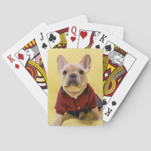 Baraja De Cartas Cutest Baby Animals French Bulldog Dressed