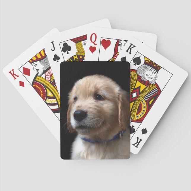 Baraja De Cartas Cutest Baby Animals | Golden Retriever Puppy (Reverso)