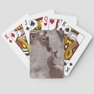 Baraja De Cartas Cutest Baby Animals   Mother and Baby Giraffe