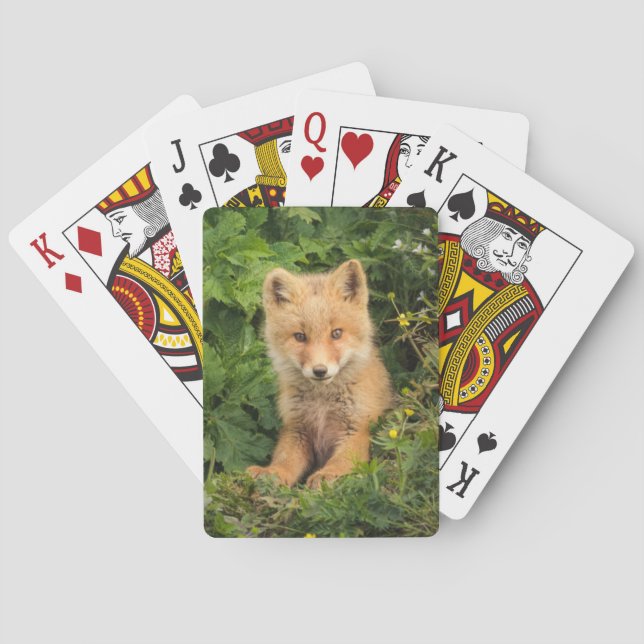 Baraja De Cartas Cutest Baby Animals | Red Fox at Umnak Alaska (Reverso)