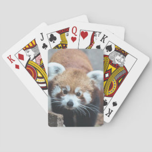 Baraja De Cartas Cuto