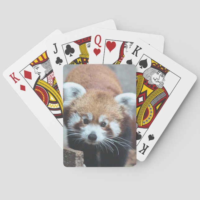 Baraja De Cartas Cuto (Reverso)