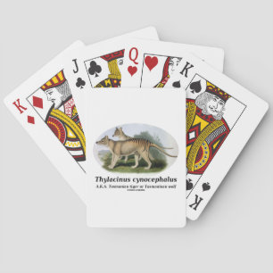 Baraja De Cartas Cynocephalus del Thylacinus (tigre o lobo tasmano)