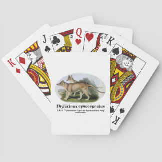 Baraja De Cartas Cynocephalus del Thylacinus (tigre o lobo tasmano)