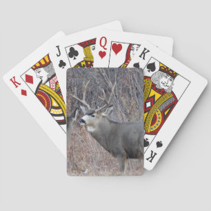 Baraja De Cartas D29 Mule Deer Buck