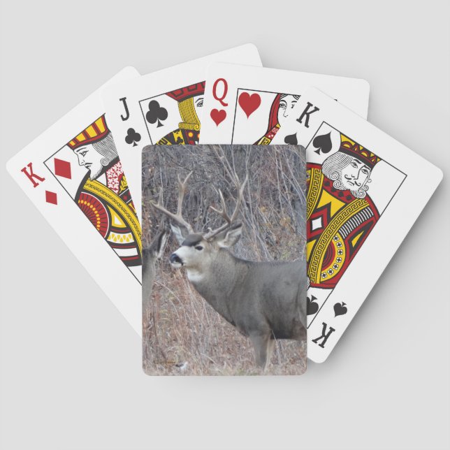 Baraja De Cartas D29 Mule Deer Buck (Reverso)