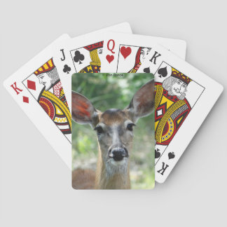 Baraja De Cartas D33 White-tailed Deer Doe