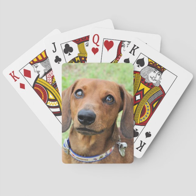 Baraja De Cartas Dachshund (Reverso)