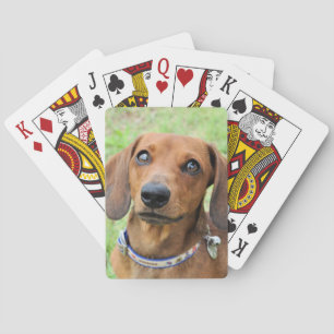 Baraja De Cartas Dachshund