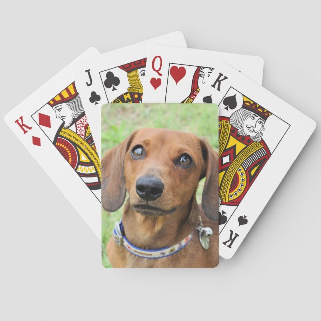 Baraja De Cartas Dachshund (Reverso)