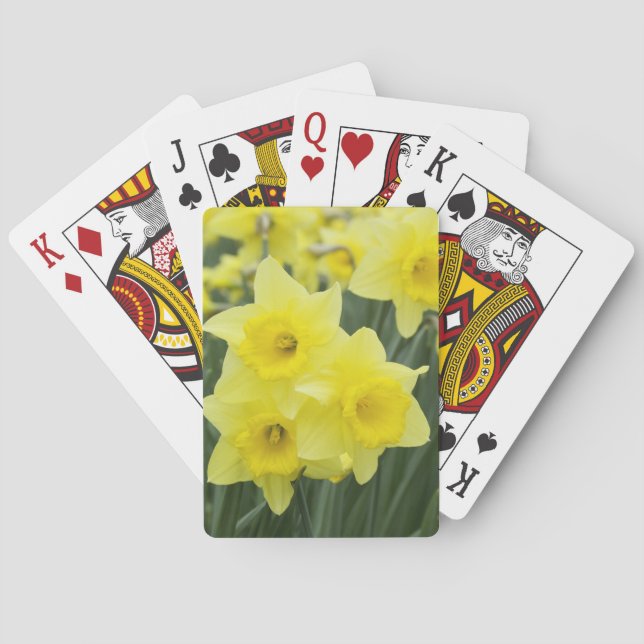 Baraja De Cartas Daffodils RF) (Reverso)