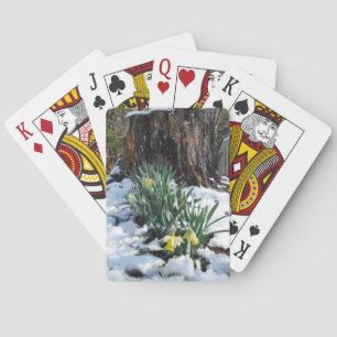 Baraja De Cartas Dafpies amarillos en la nieve