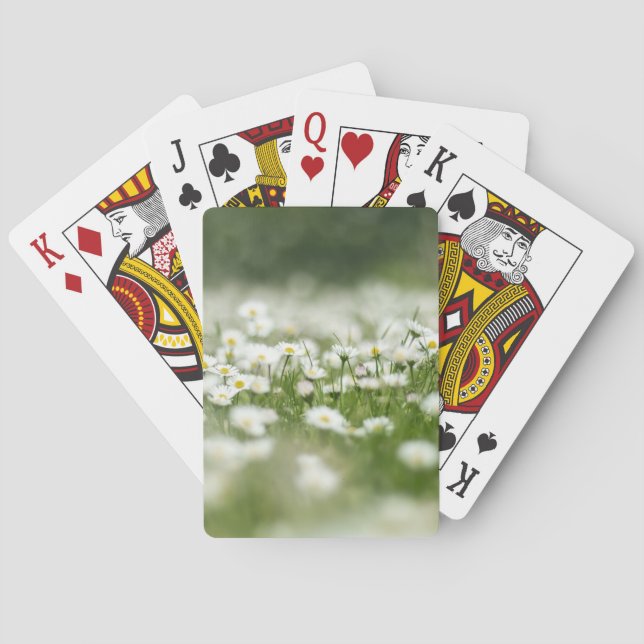 Baraja De Cartas Daisy Meadow (Reverso)