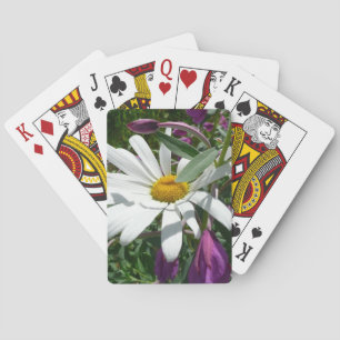 Baraja De Cartas Daisy y Fireweed Wildflower