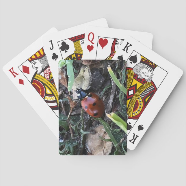 Baraja De Cartas Dama (Reverso)