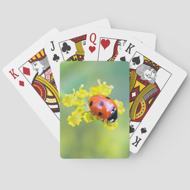 Baraja De Cartas dama encima (Reverso)