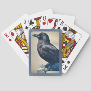 Baraja De Cartas Dashing Disabled Daryl