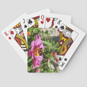 Baraja de Cartas de Aterrizaje