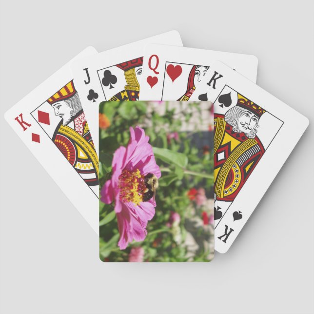 Baraja de Cartas de Aterrizaje (Reverso)