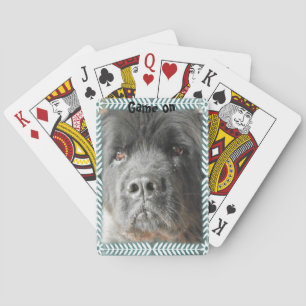 Baraja de cartas de Newfoundland Dog