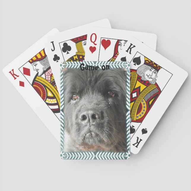 Baraja de cartas de Newfoundland Dog (Reverso)