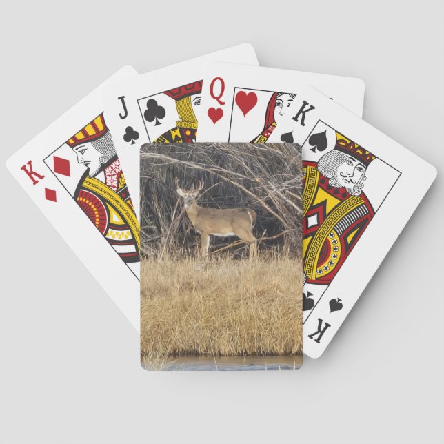 Baraja De Cartas Deer in the Thicket Playing Cards (Reverso)