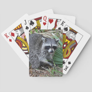 Baraja De Cartas Dejarme solo