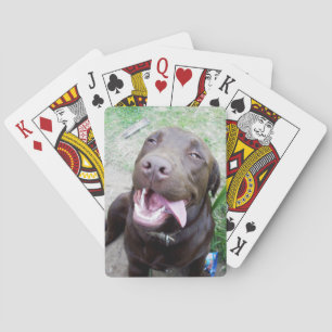 Baraja De Cartas Delicias Goofy: Cachorros de chocolate marrón,