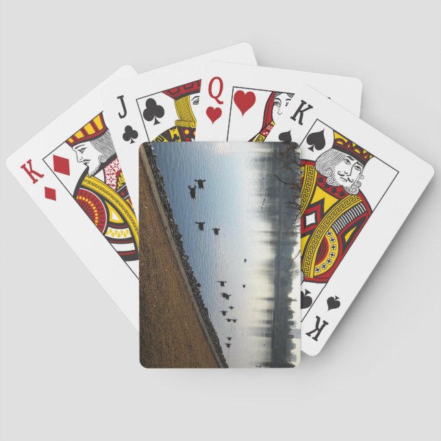 Baraja De Cartas Denver City Park, Denver, Colorado (Reverso)