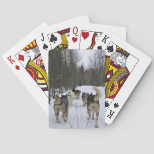 Baraja De Cartas Derrame de perro en Quebec, Canadá
