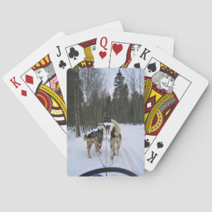 Baraja De Cartas Derrame de perro en Quebec, Canadá