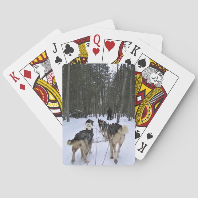 Baraja De Cartas Derrame de perro en Quebec, Canadá (Reverso)